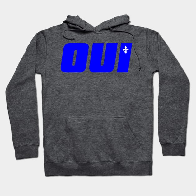 Québec OUI Hoodie by Longueuil Beach